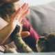 Mensch und Katze in inniger Berührung, Ausdruck von Verbundenheit und Zuneigung